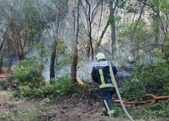 فرق الدفاع المدني تواصل إخماد حرائق عدة في جبال الساحل