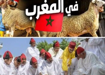 هل يتراجع الملك عن قراره إلغاء شعيرة الاضحى لهذا العام بعد ظهور هذه المستجدات ؟