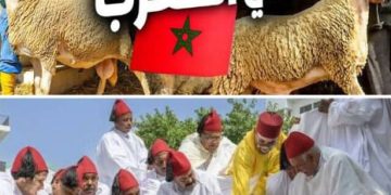 هل يتراجع الملك عن قراره إلغاء شعيرة الاضحى لهذا العام بعد ظهور هذه المستجدات ؟