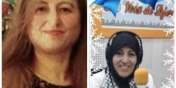 قراءة نقدية القصيدة وفق مقاربةالميتا شعرية