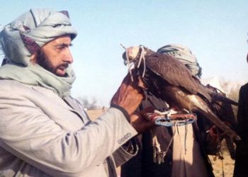 صدور عدد جديد وخاص من مجلة “الصقّار”باللغتين العربية والإنجليزية يحتفي بالشيخ زايد