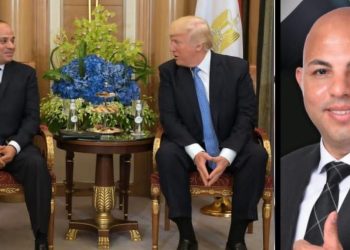 هيثم حسين: ماحدث طفرة سياسية إنسانية لقاده مصر والمنطقة