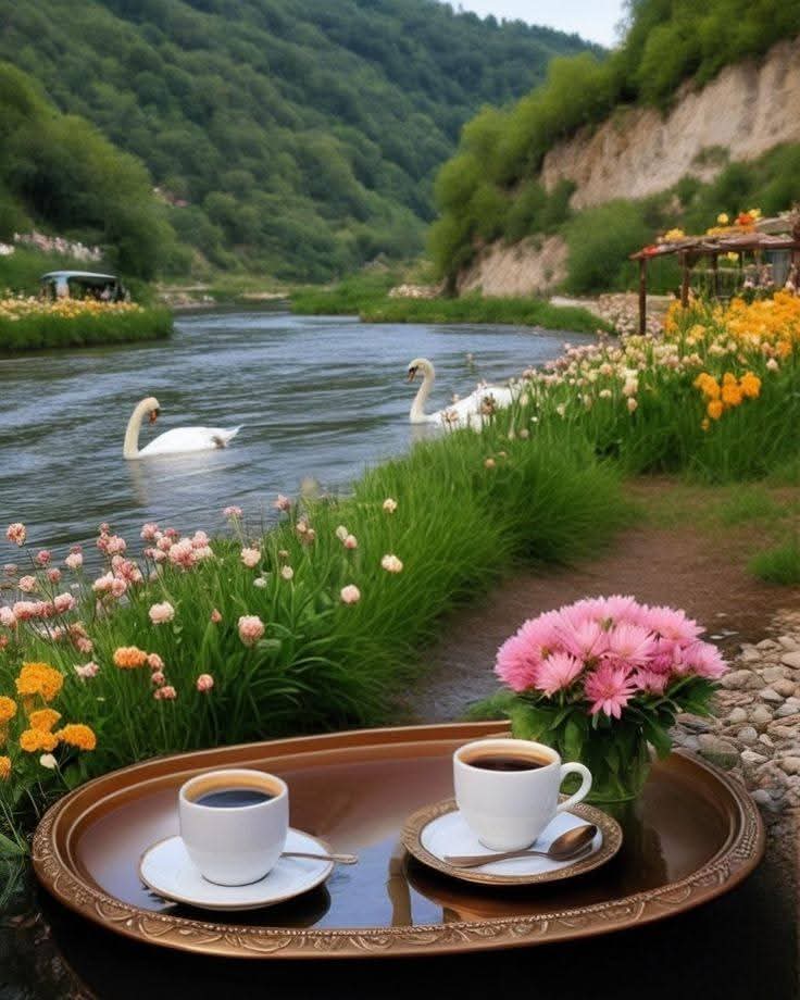 إشراقةُ يومٍ جميل