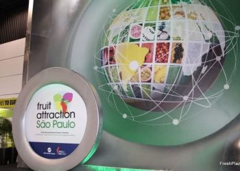 دالتكس تفتح أسواق أمريكا اللاتينية عبر معرض Fruit Attraction البرازيلي