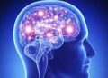 5 عادات تجنبها للحفاظ على صحة الدماغ وتعزيز قوته