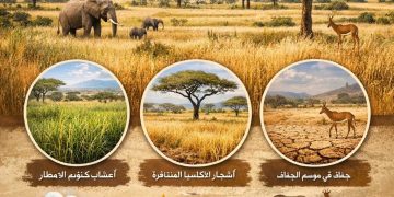 دراسة جغرافية في تدرج الأقاليم المناخية