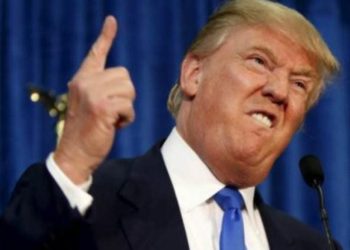 أحمق البيت الأبيض