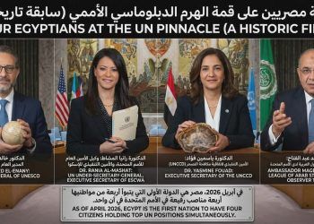 الكفاءة كقوة عظمى: كيف أعادت مصر رسم خرائط النفوذ داخل “مبنى الزجاج” بالأمم المتحدة؟